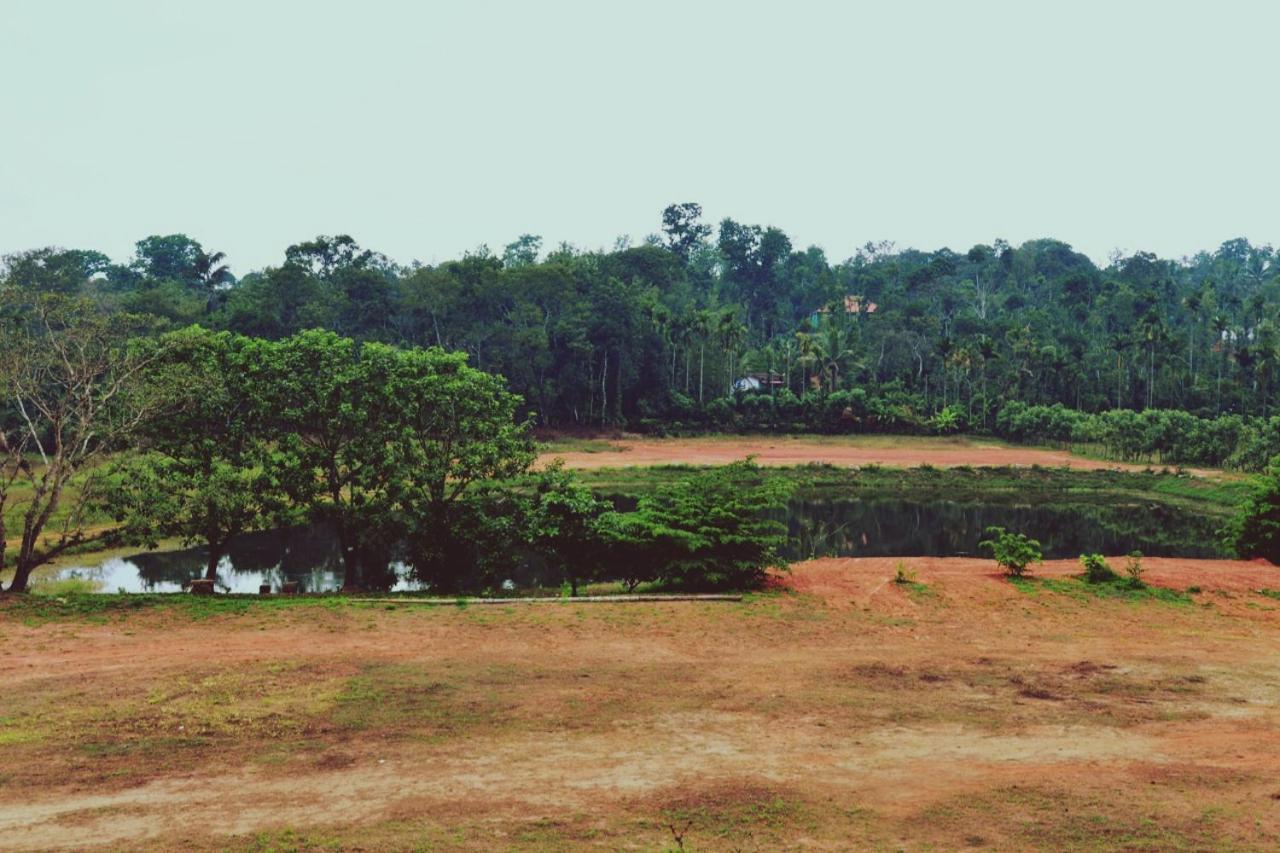 Agastya Lake View Coorg Мадикери Экстерьер фото