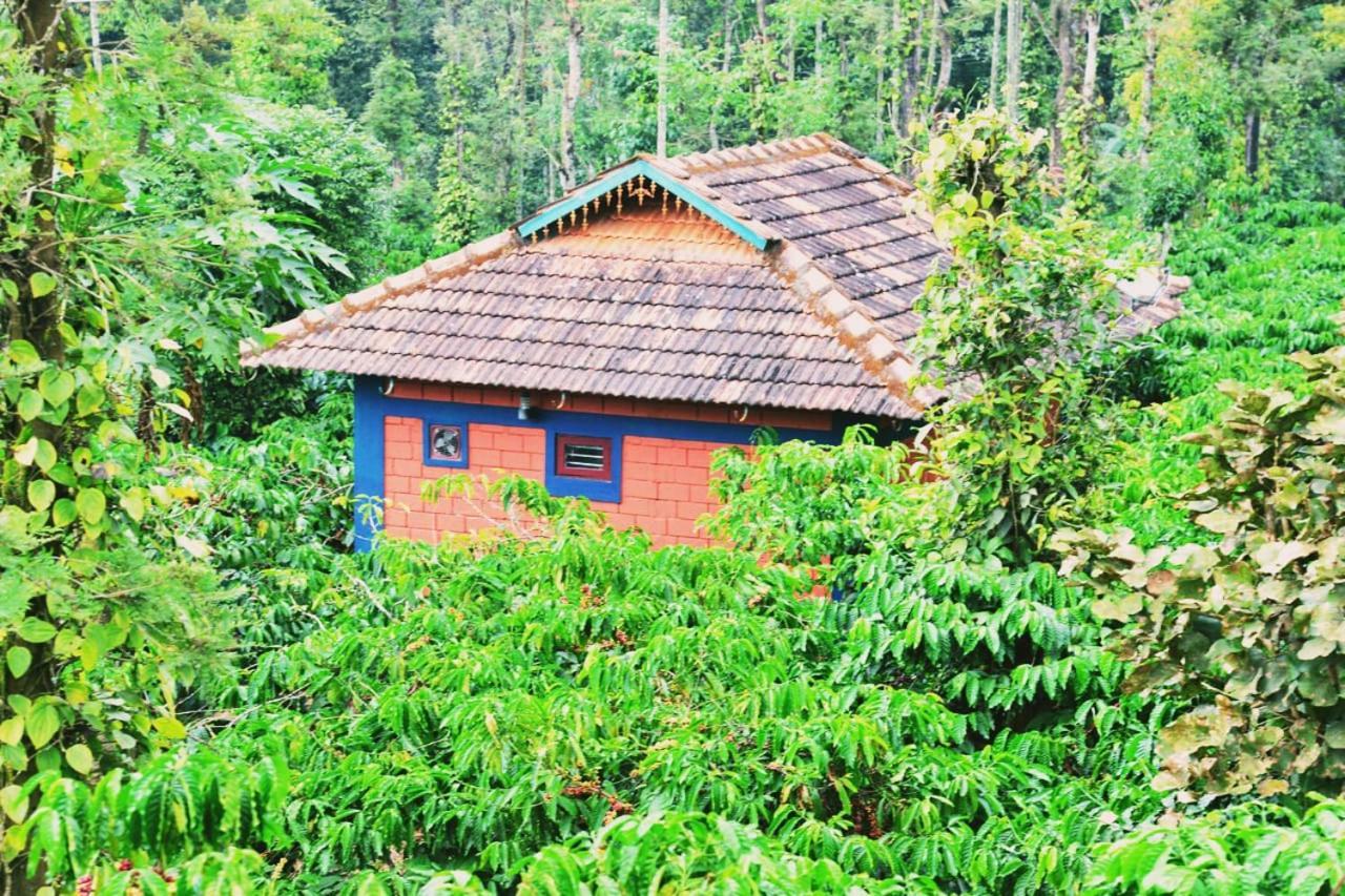 Agastya Lake View Coorg Мадикери Экстерьер фото