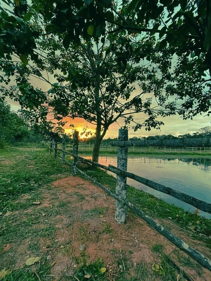 Agastya Lake View Coorg Мадикери Экстерьер фото