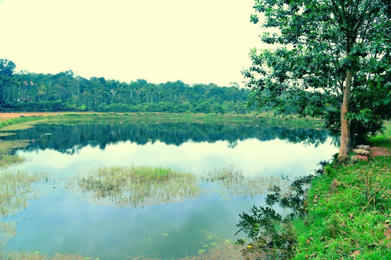 Agastya Lake View Coorg Мадикери Экстерьер фото